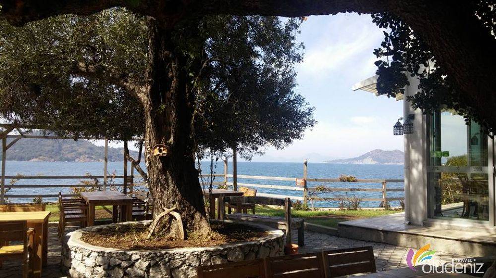 Şövalye Adası Sabah Kahvaltısı - Akşam Yemeği