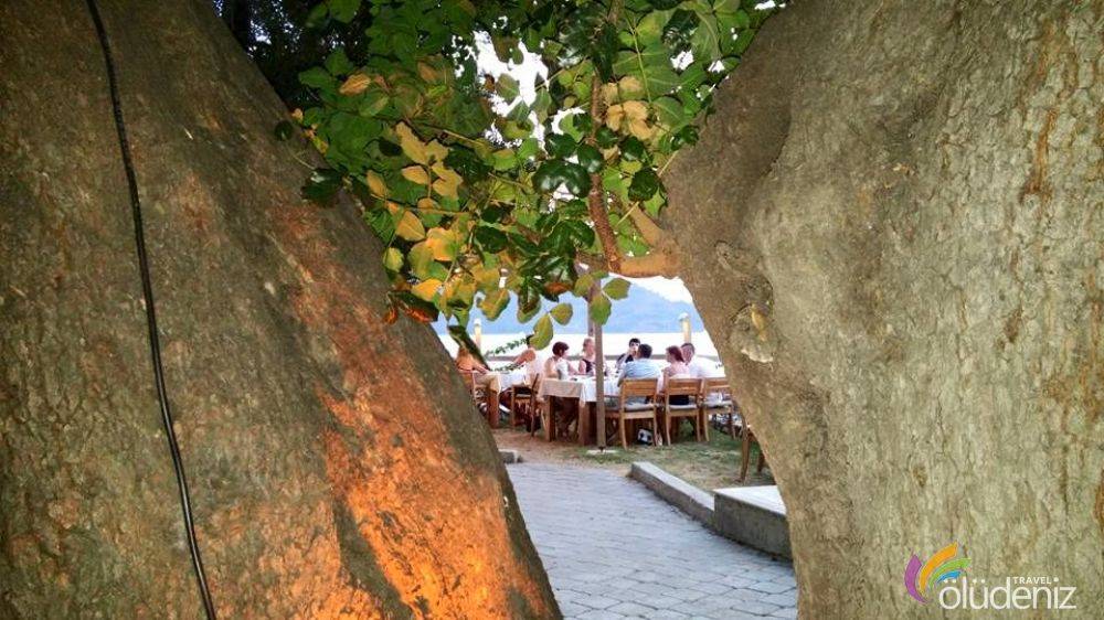 Şövalye Adası Sabah Kahvaltısı - Akşam Yemeği