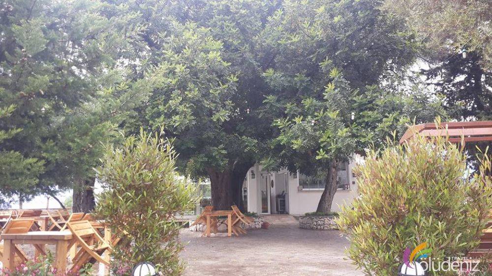Şövalye Adası Sabah Kahvaltısı - Akşam Yemeği