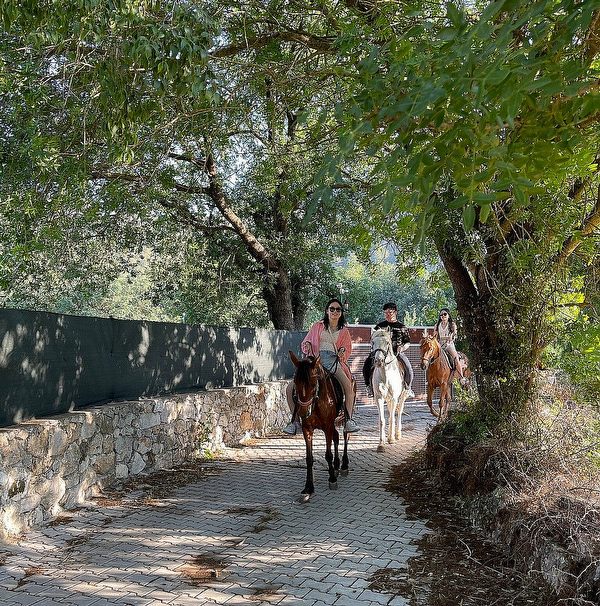 Fethiye at turu tavsiyem